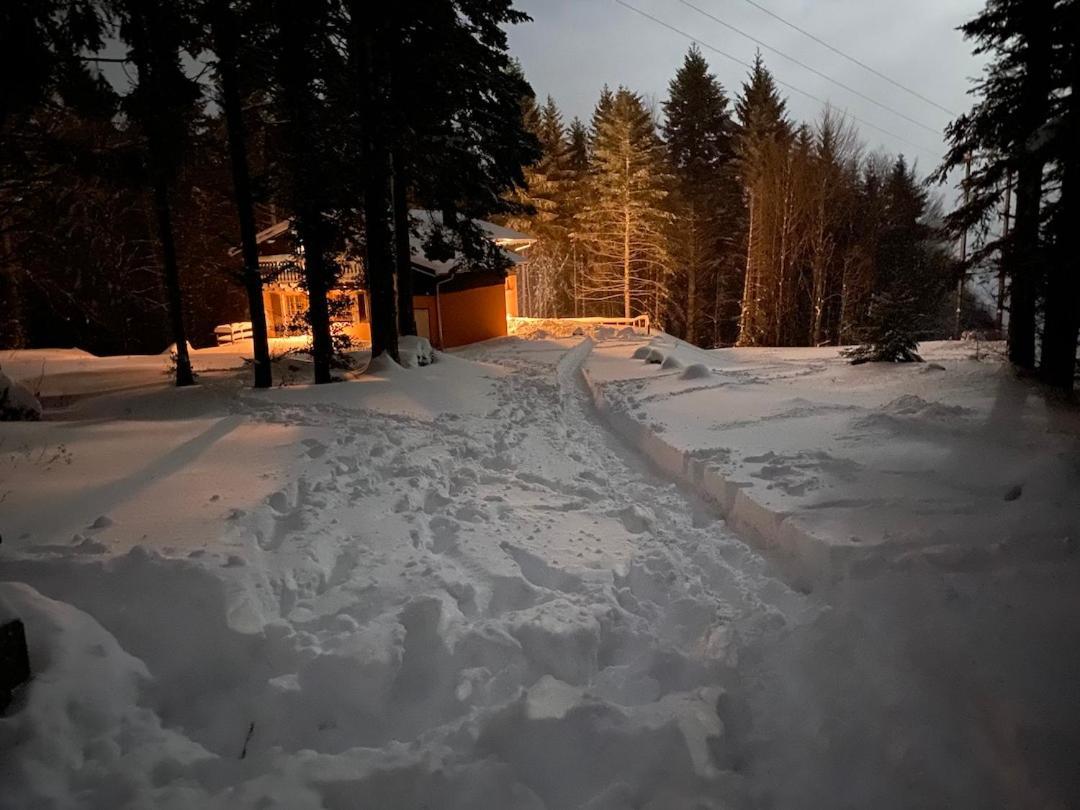 Chalet De Manu Sondernach Dış mekan fotoğraf